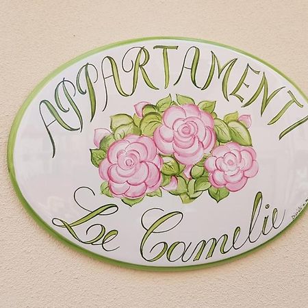 Le Camelie -Appartamenti Nuovi Porto SantʼElpidio Dış mekan fotoğraf